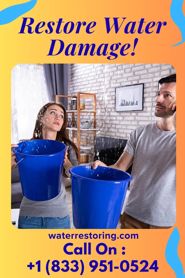 water restoration Premier Drying Co West Sayville